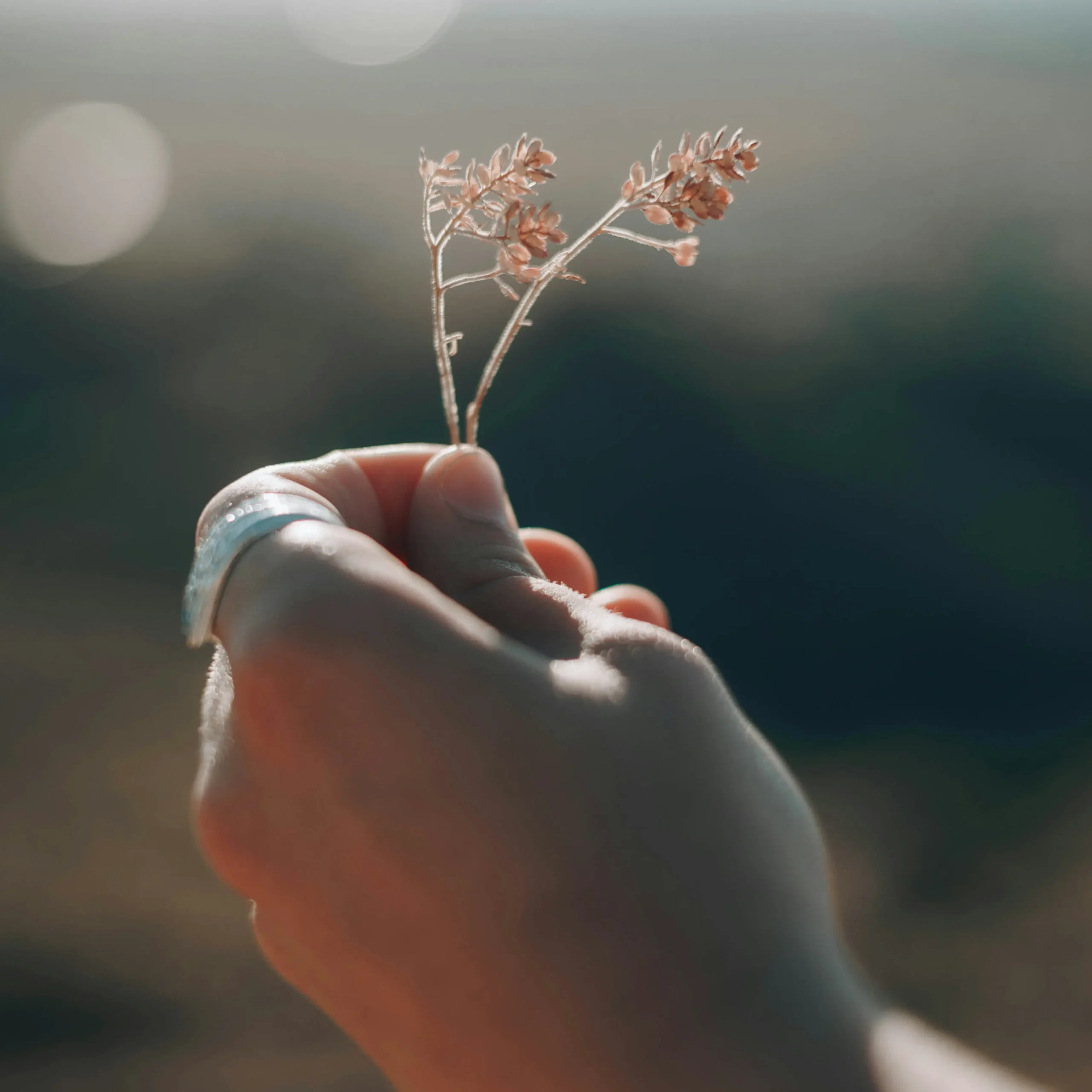 hand holding a flower symbolising balance fnd alance, wellbeing therapy London, foot reflexology, stress relief reflexology